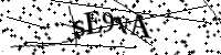 Inserisci le lettere qui sotto