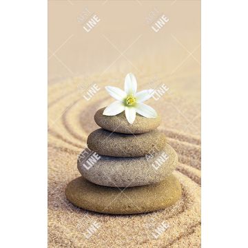 Coppia Salviette Bagno Zen Flower