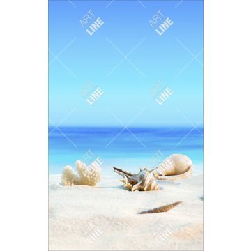 Coppia Salviette Bagno Shells Beach