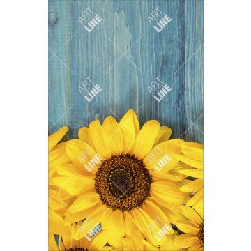 Coppia Salviette Bagno Sunflower