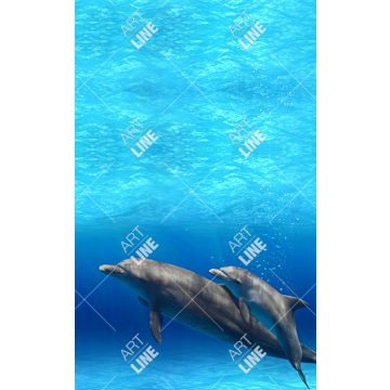 Coppia Salviette Bagno Two Dolphins