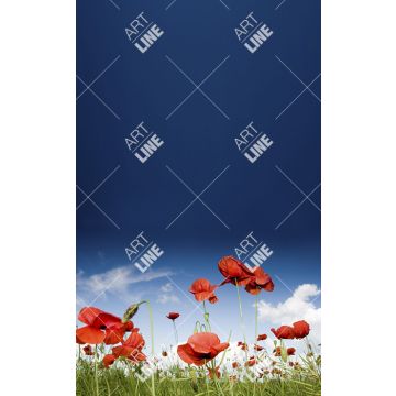 Coppia Salviette Bagno Red Poppies