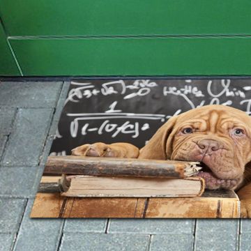 Tappeto FuoriPorta Math Dog